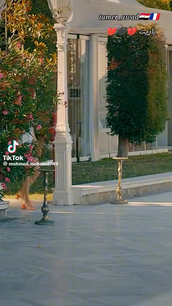@الدكتور
