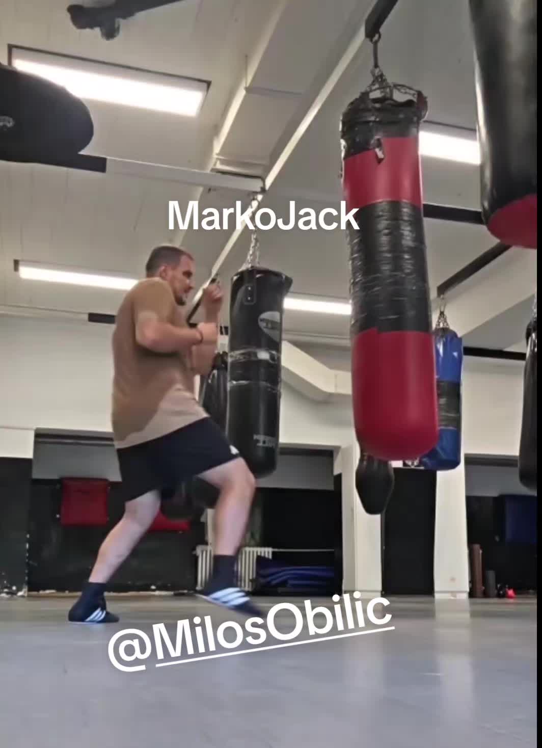 @Milos Obilic