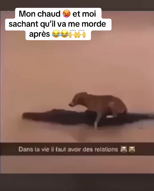 @Métissenoire🇨🇲🇬🇶🇬🇦