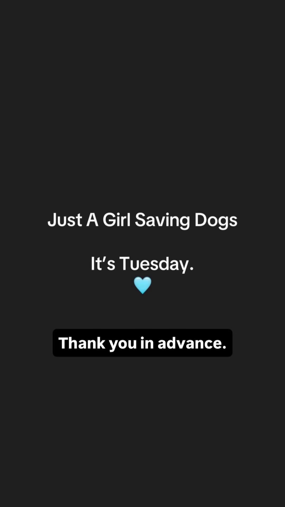 @Just A Girl Saving Dogs