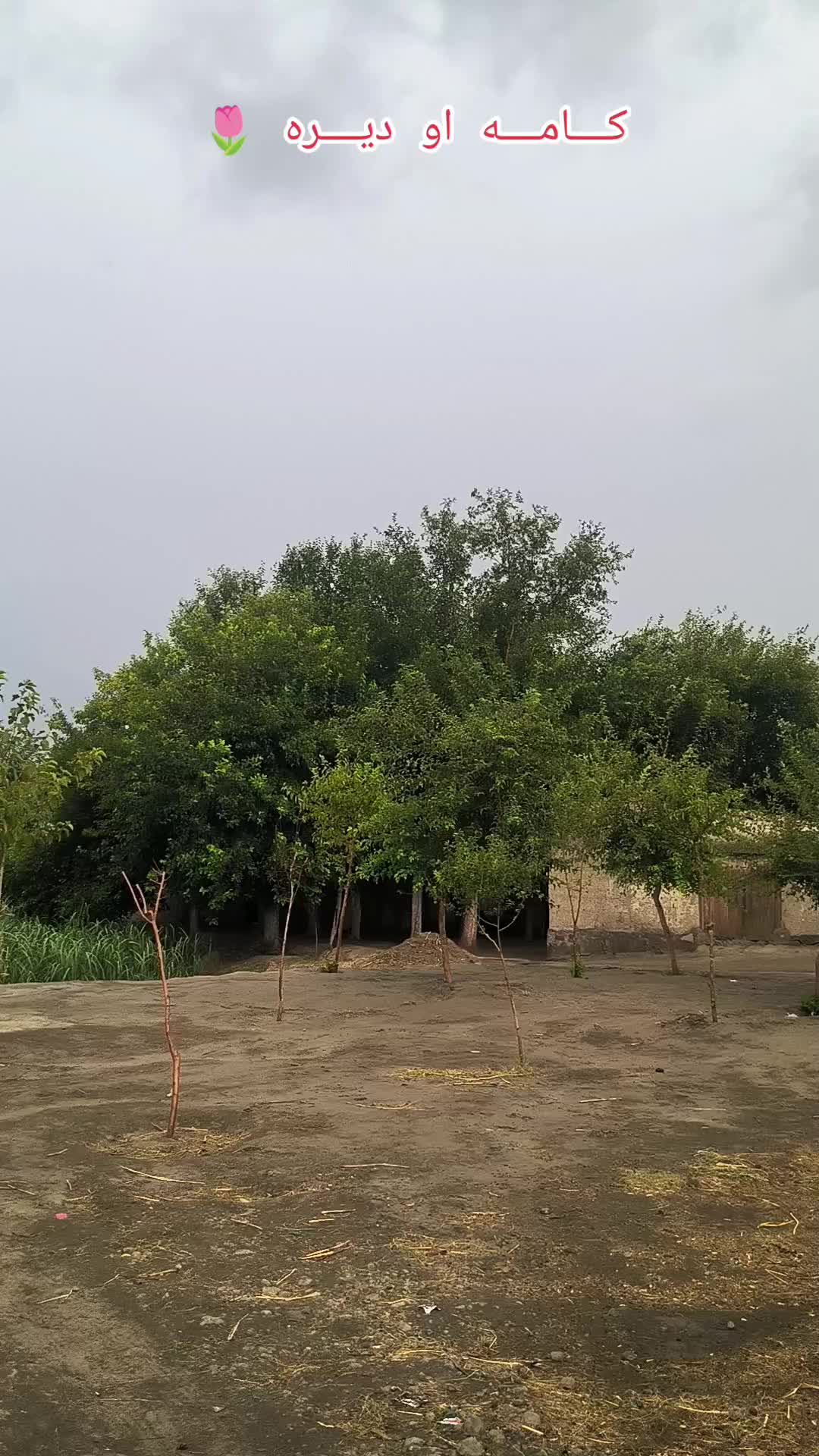 @🇦🇫꧁༒☬itx کاموال☬༒꧂