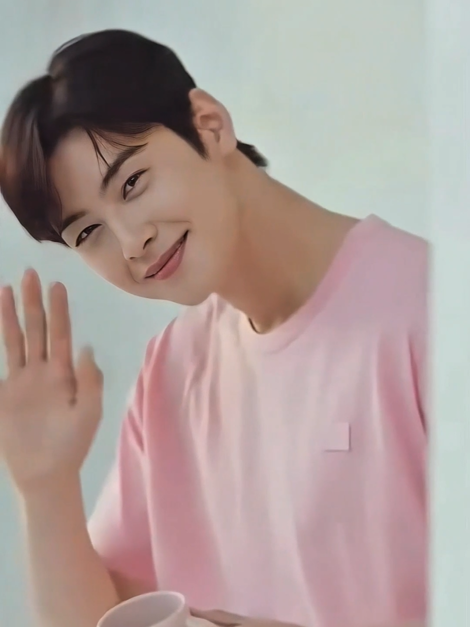 @Cha Eun Woo Edits
