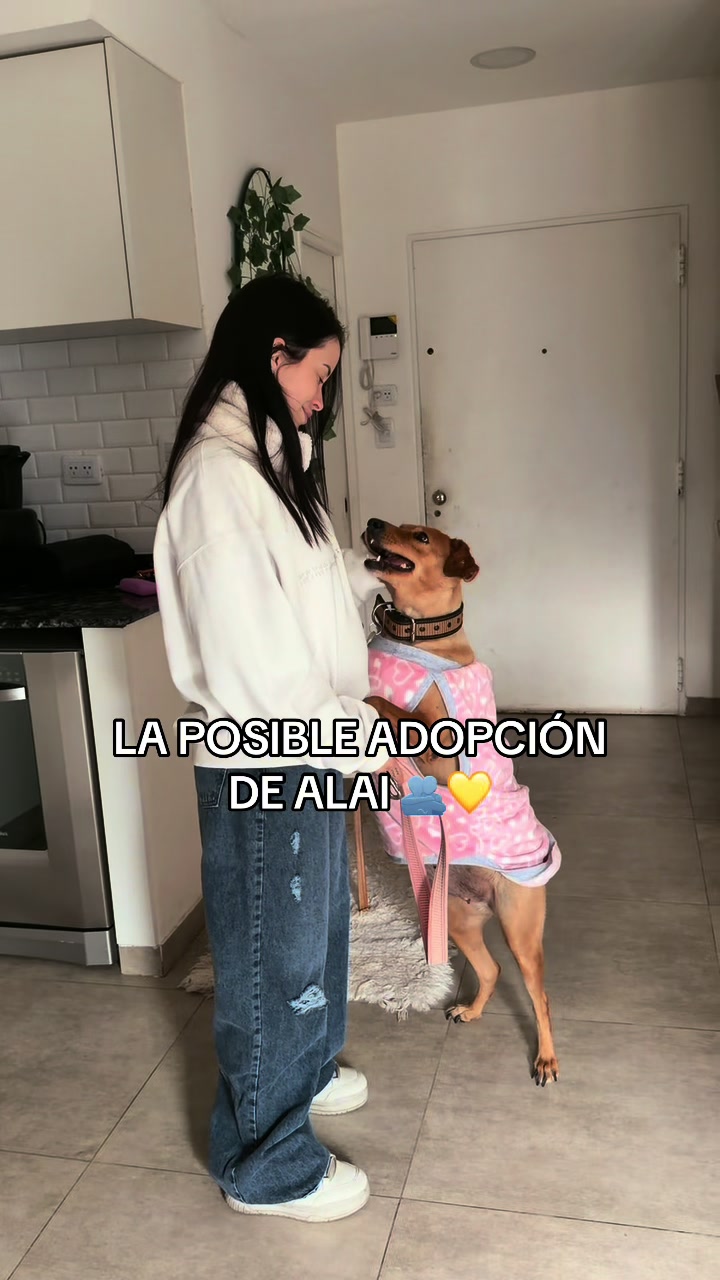 @CARITO M&Uuml;LLER 🦦💗