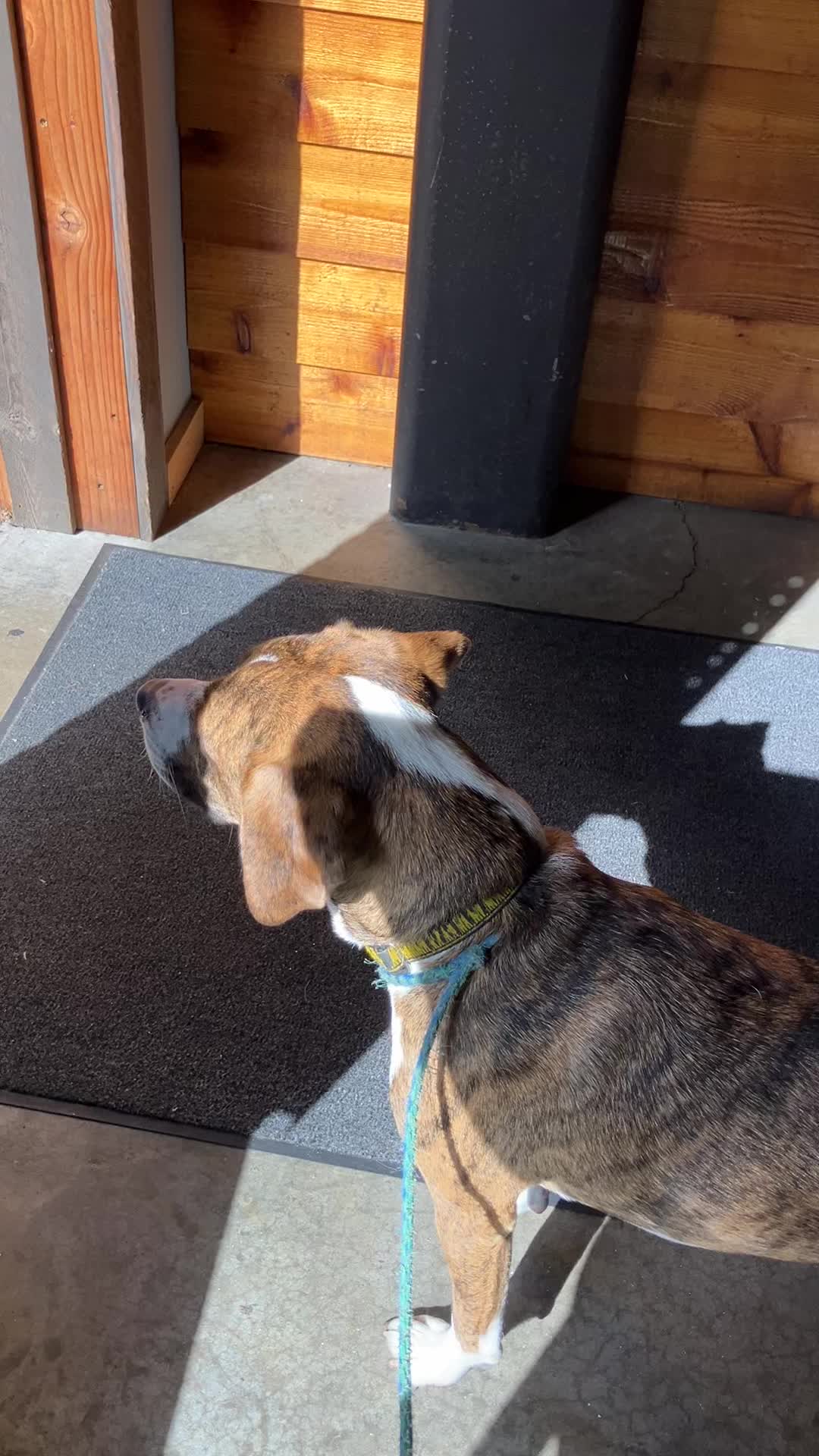 @Hikingwithstanley