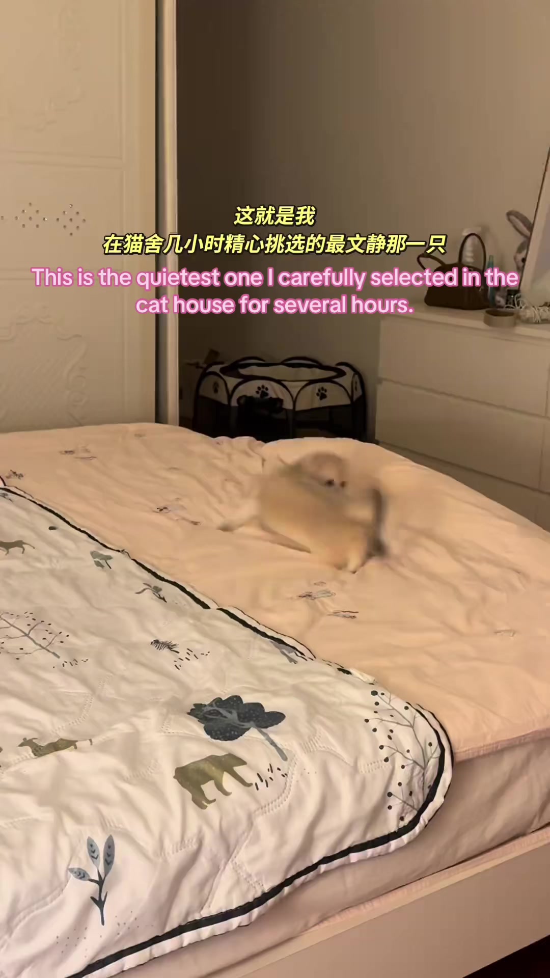 @FluffyTales
