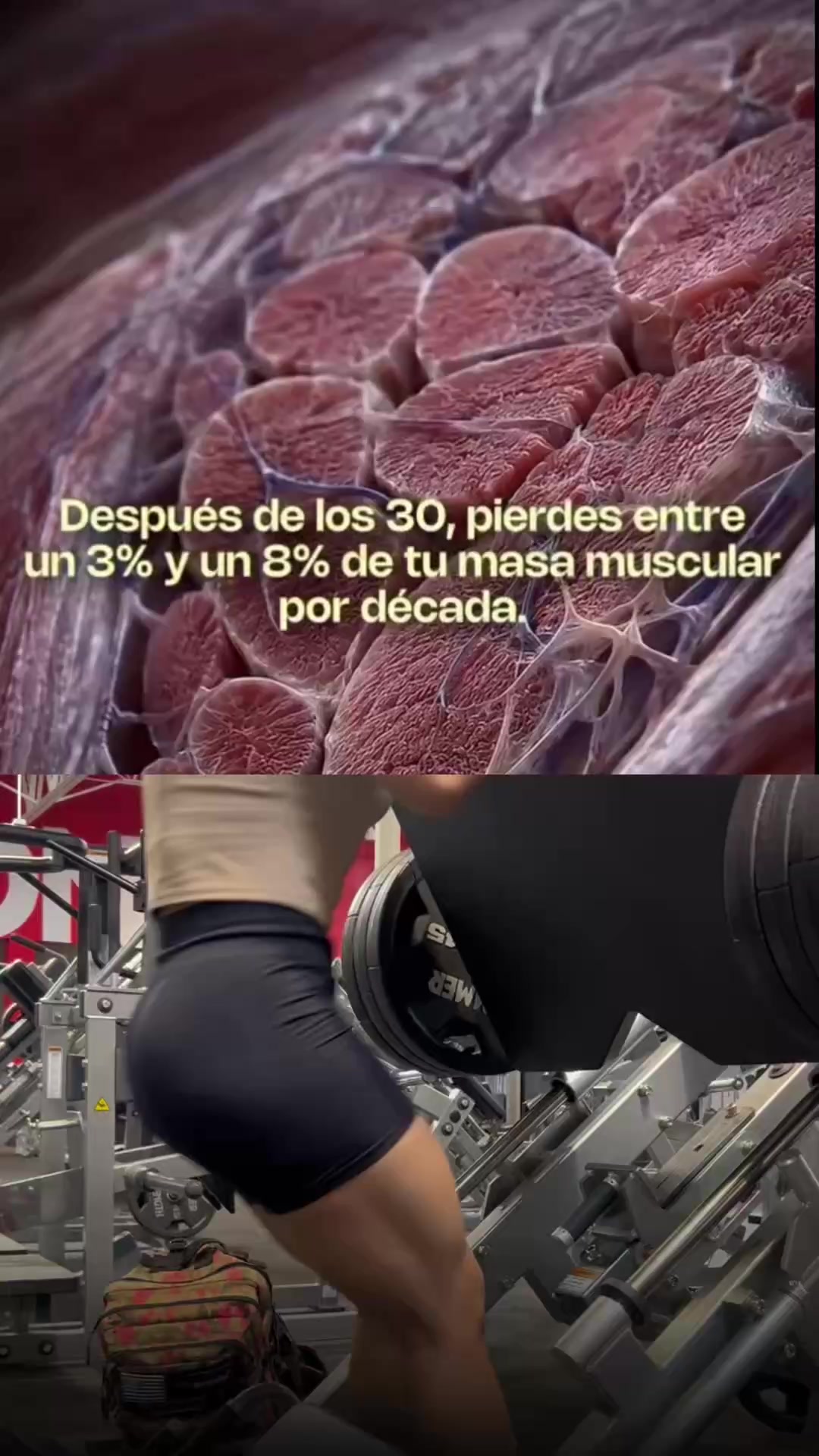 @Catalina Hern&aacute;ndez