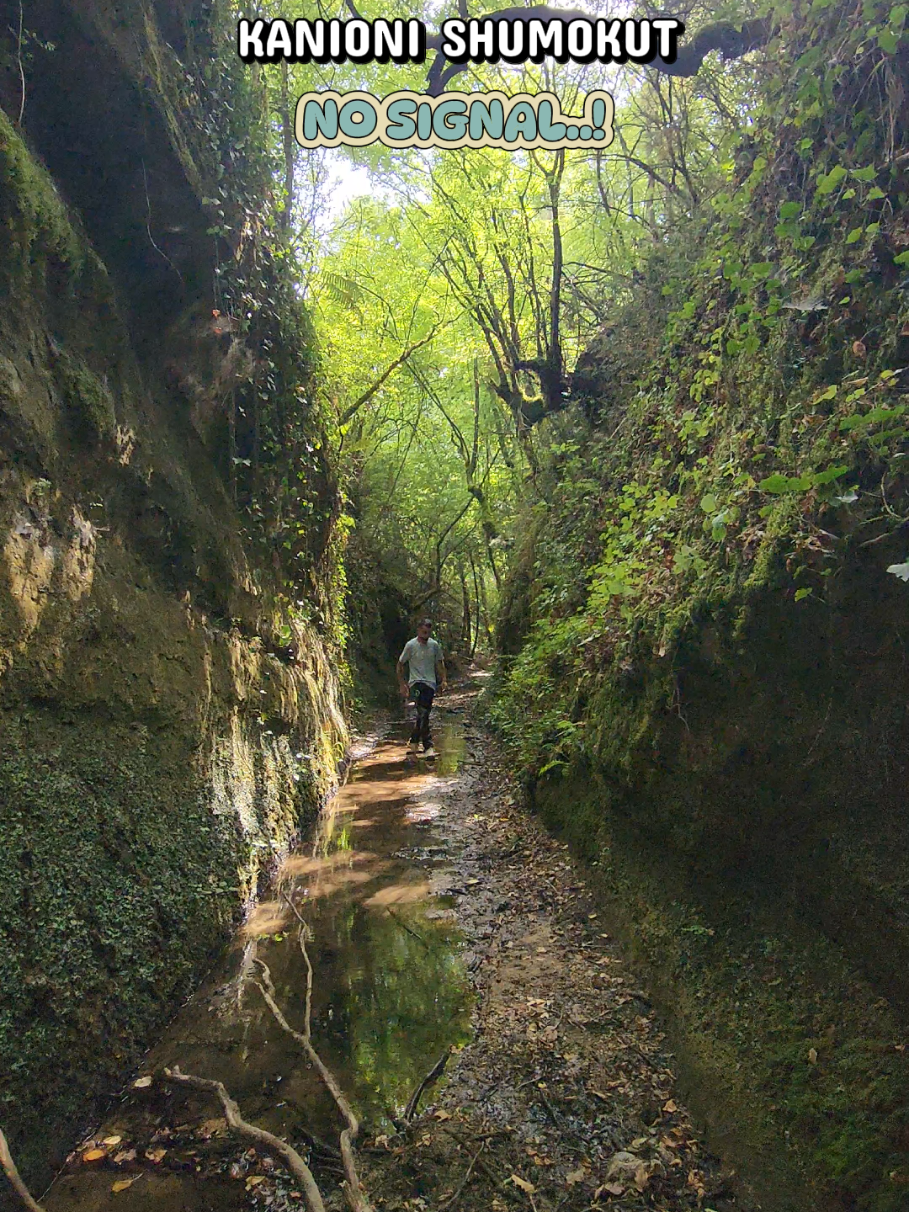 @Fark&euml; Tiran&euml;