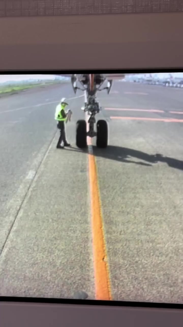 @airport ramp life