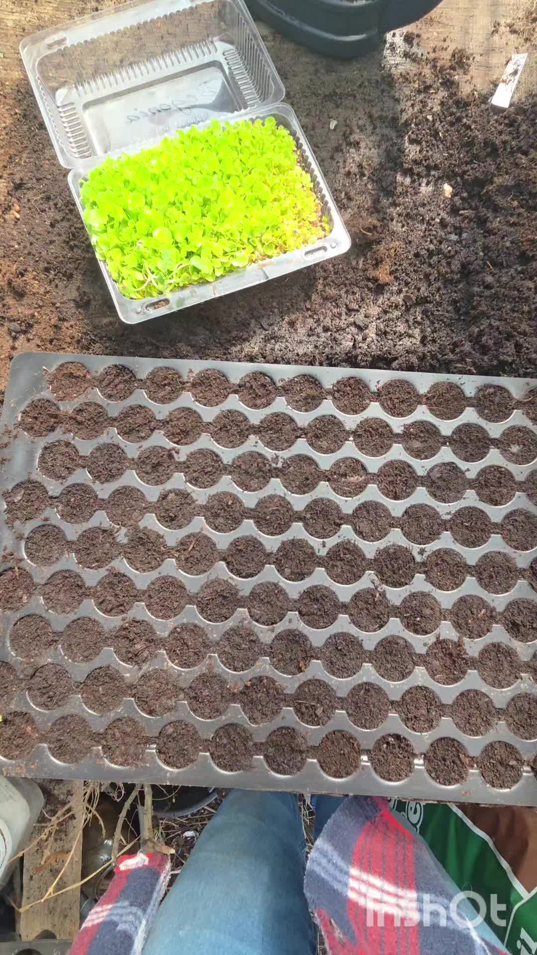 @zycienawsi51🧶