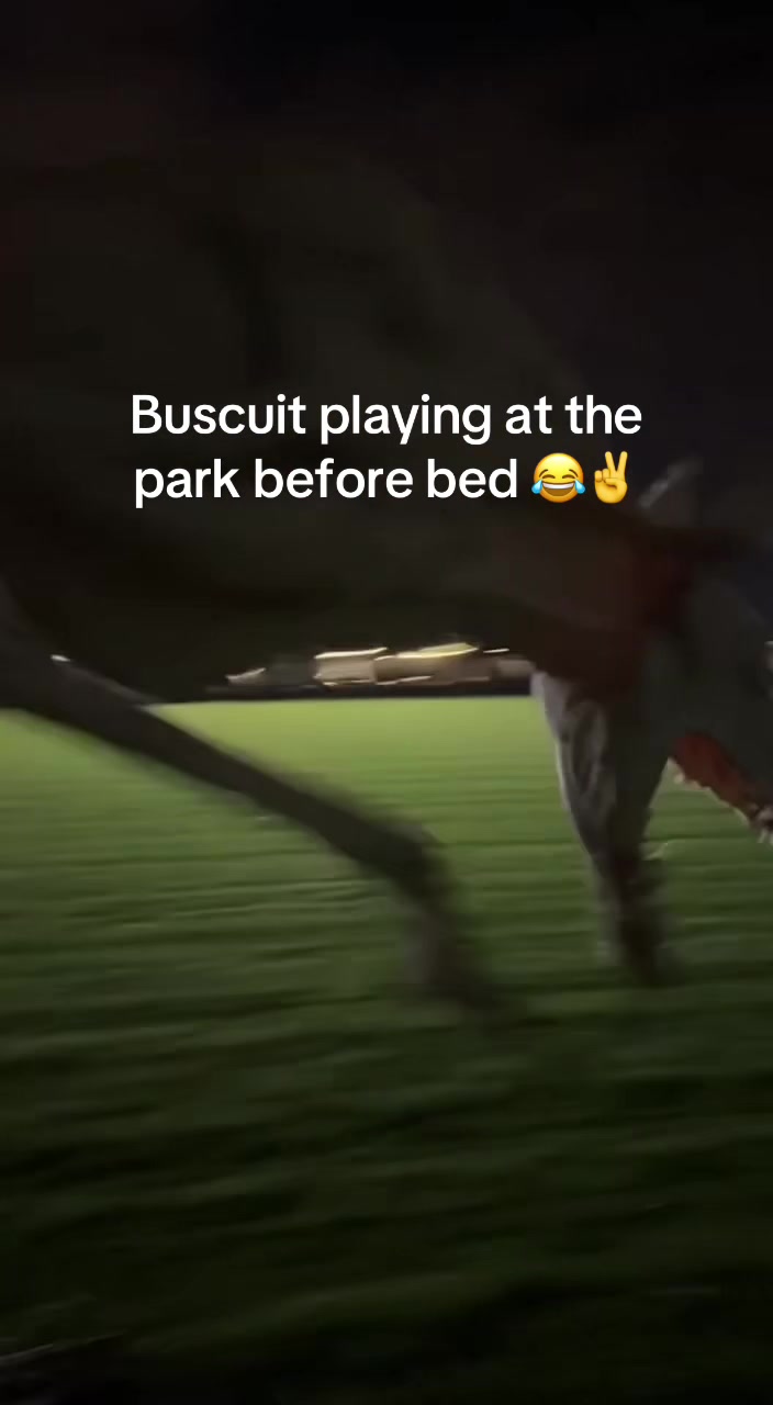 @Zisc