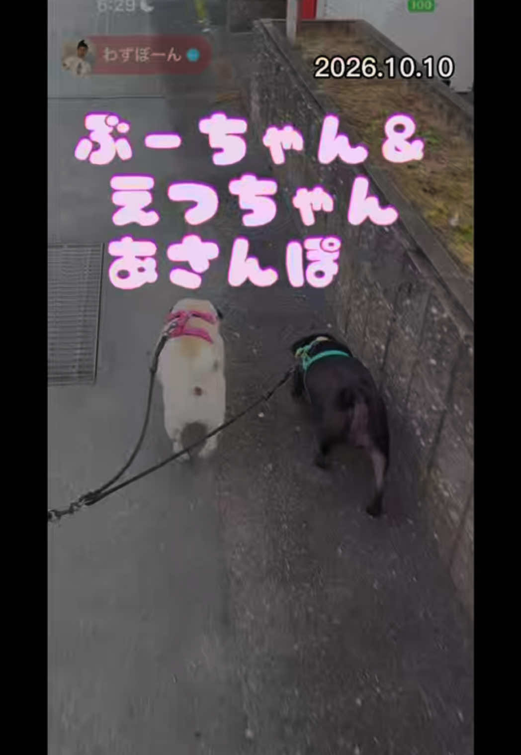 @ãããð§ð«§