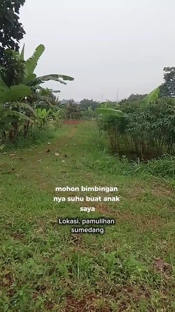 @vianjabonganarki