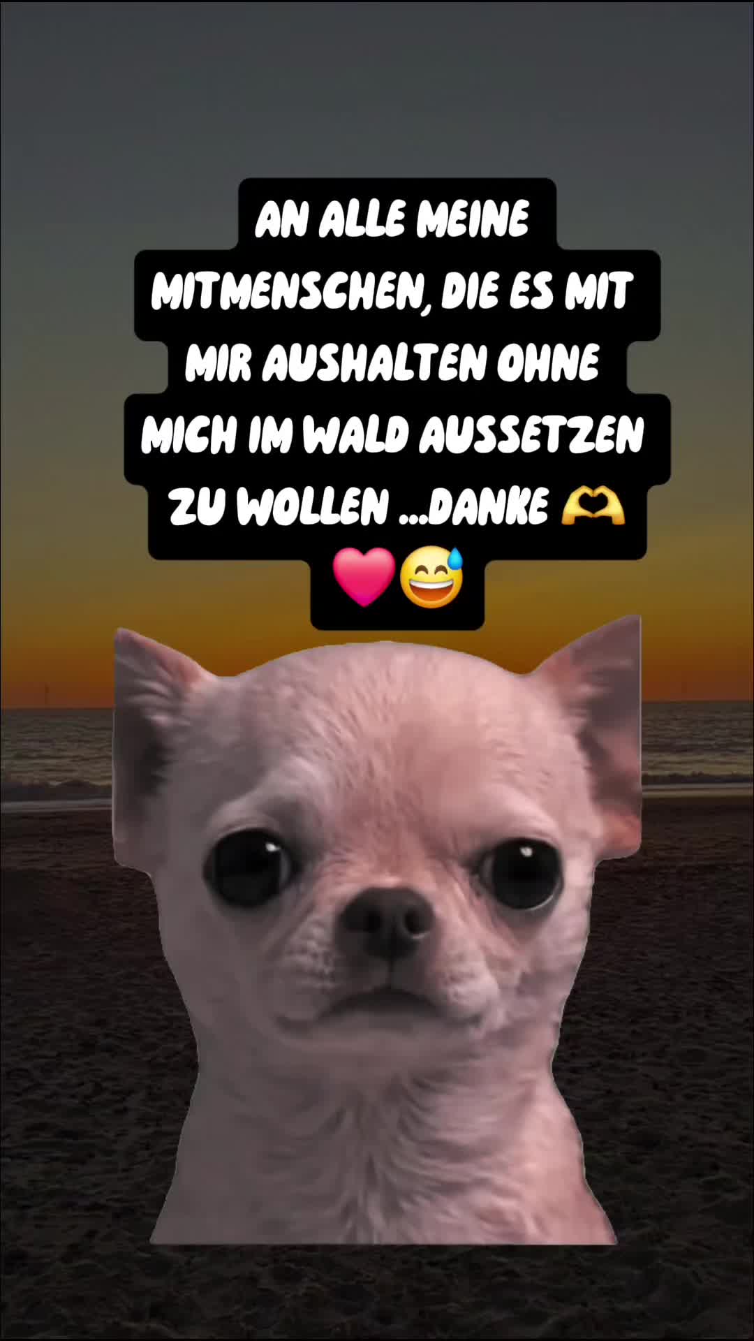 @☆Nickymaus☆