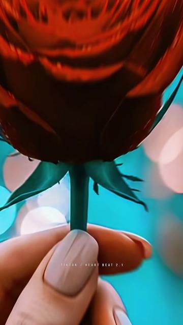 @Hᴇᴀʀᴛ᭄Bᴇᴀᴛ
