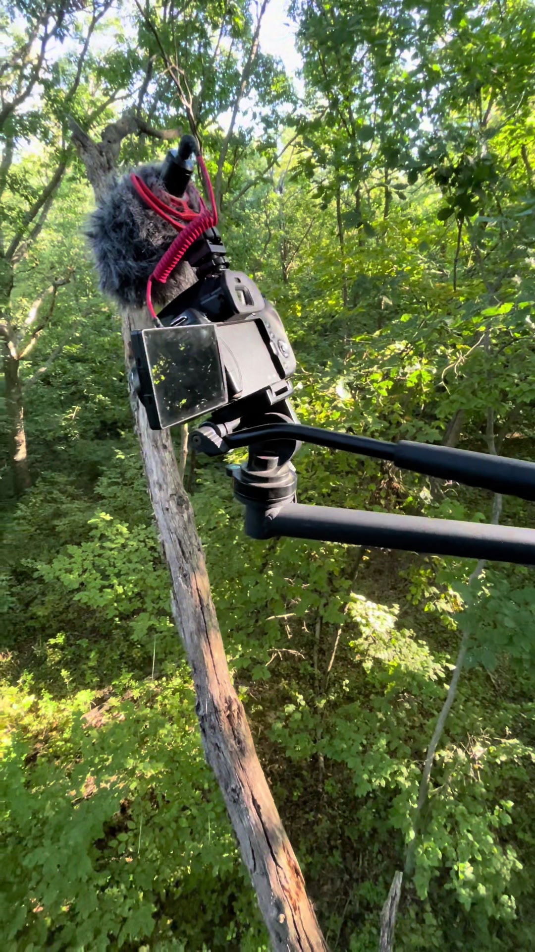 @Tactical Approach Outdoors LLC