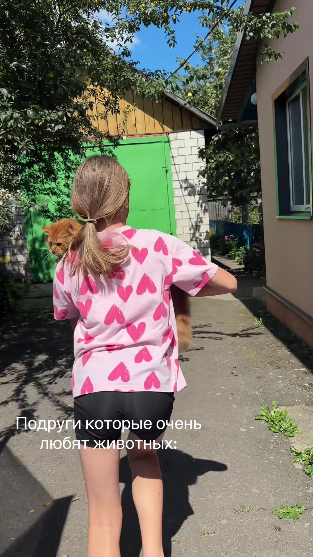@🐈ⲙилanυи