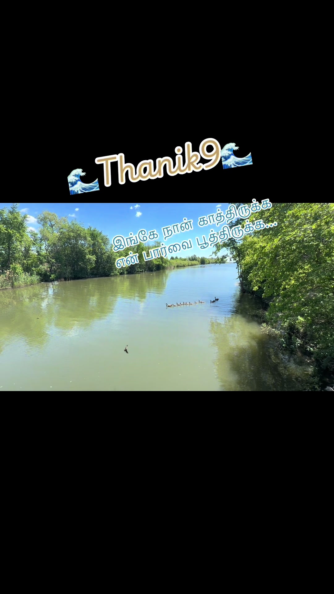 @Thanik