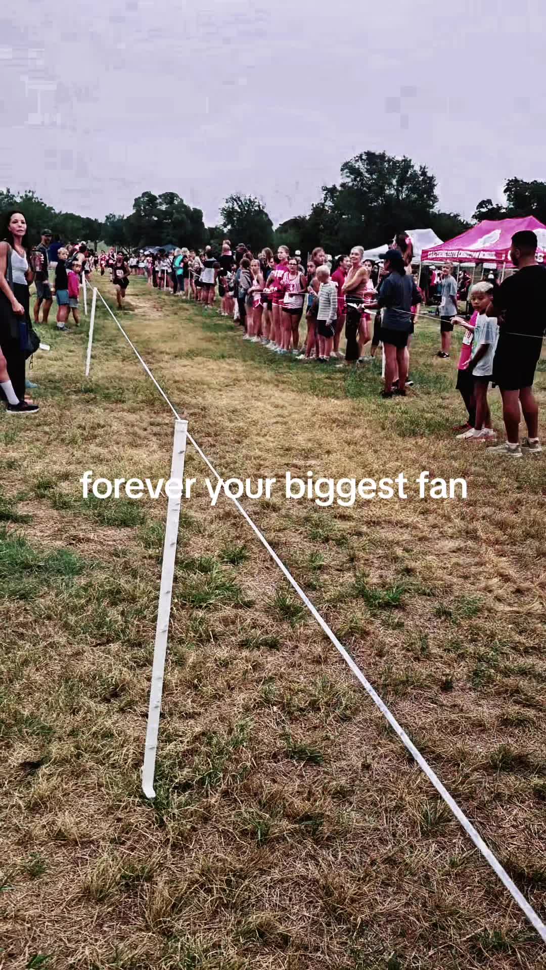 @vrlbeetely