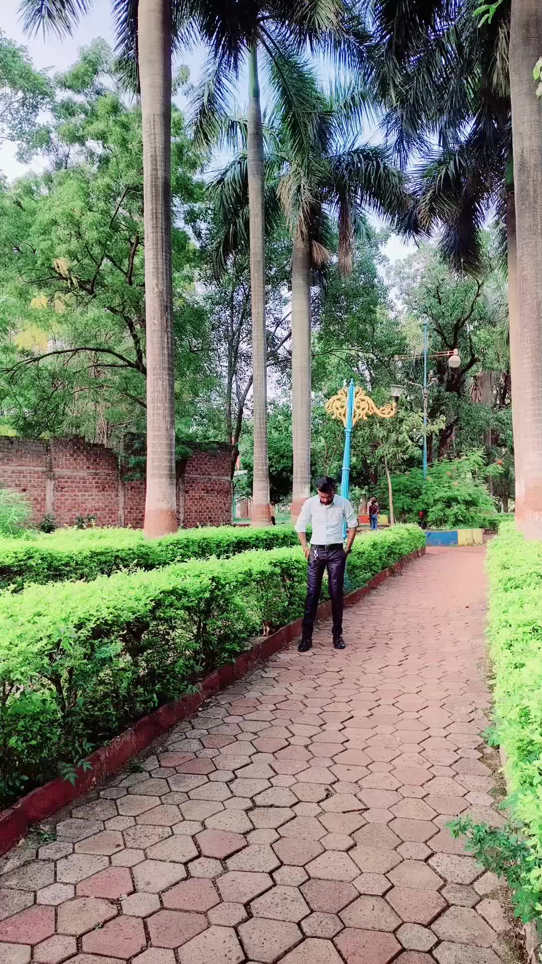 @dipendramahato31