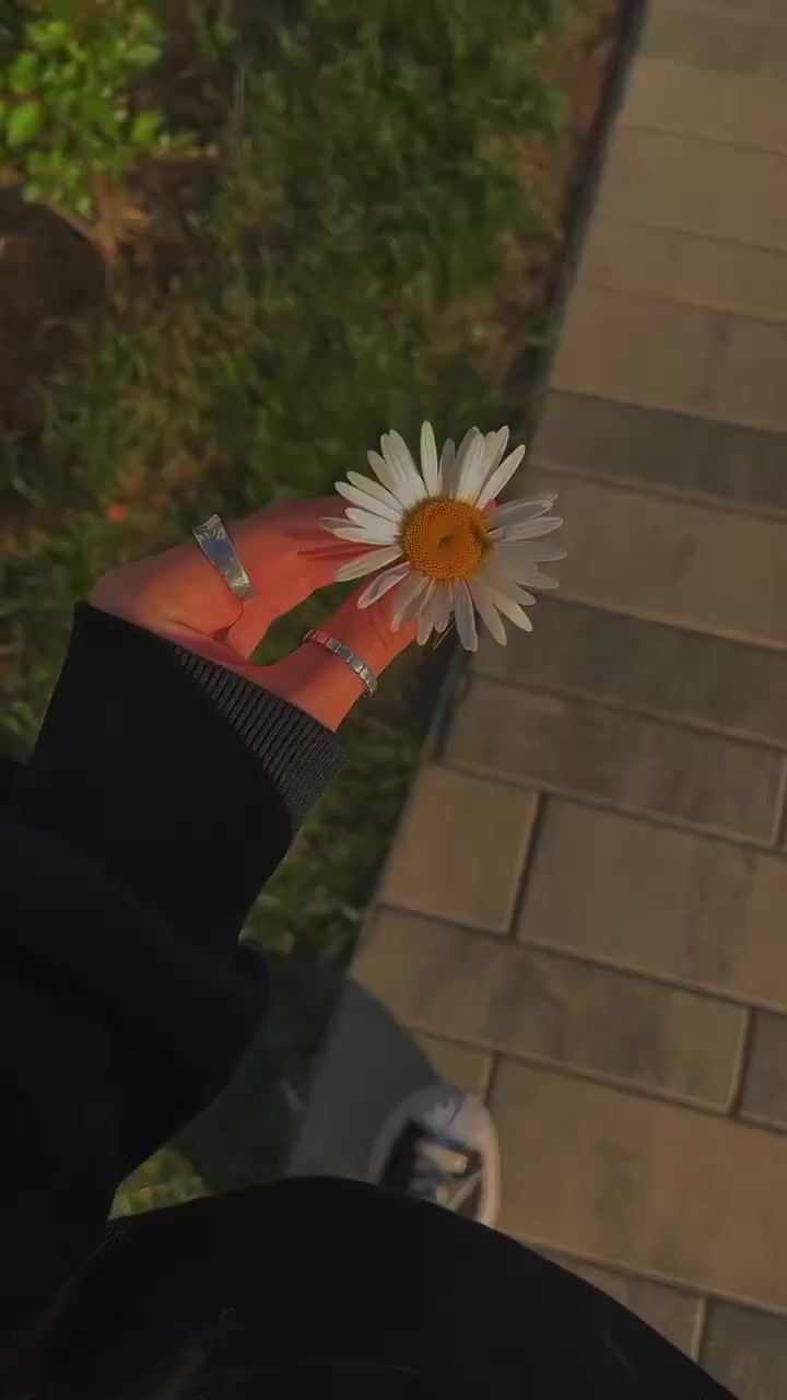 @𝐒ᡣ𐭩࣪⋆