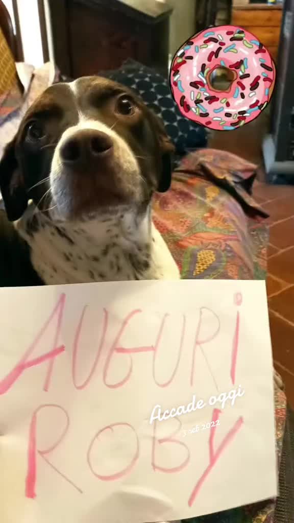 @Diego Ferrari