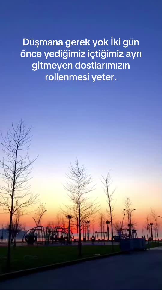 @Emir Bodur