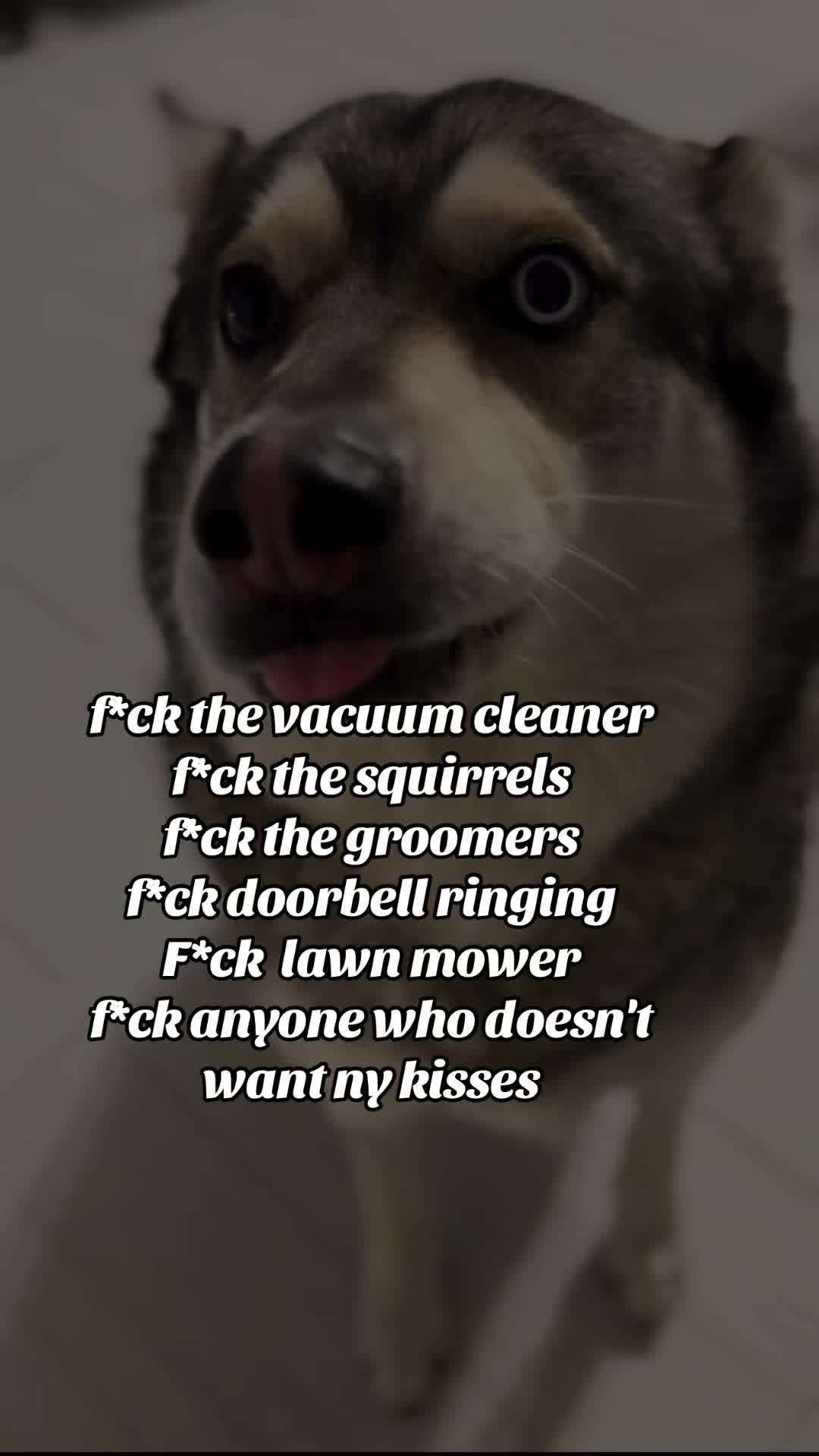 @у&alpha;яєт&part; &alpha;ℓ&cent;&alpha;&eta;т&alpha;я&alpha;