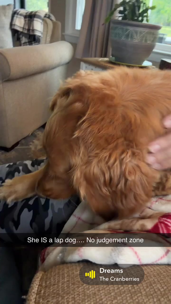 @Heather ❤️🐶