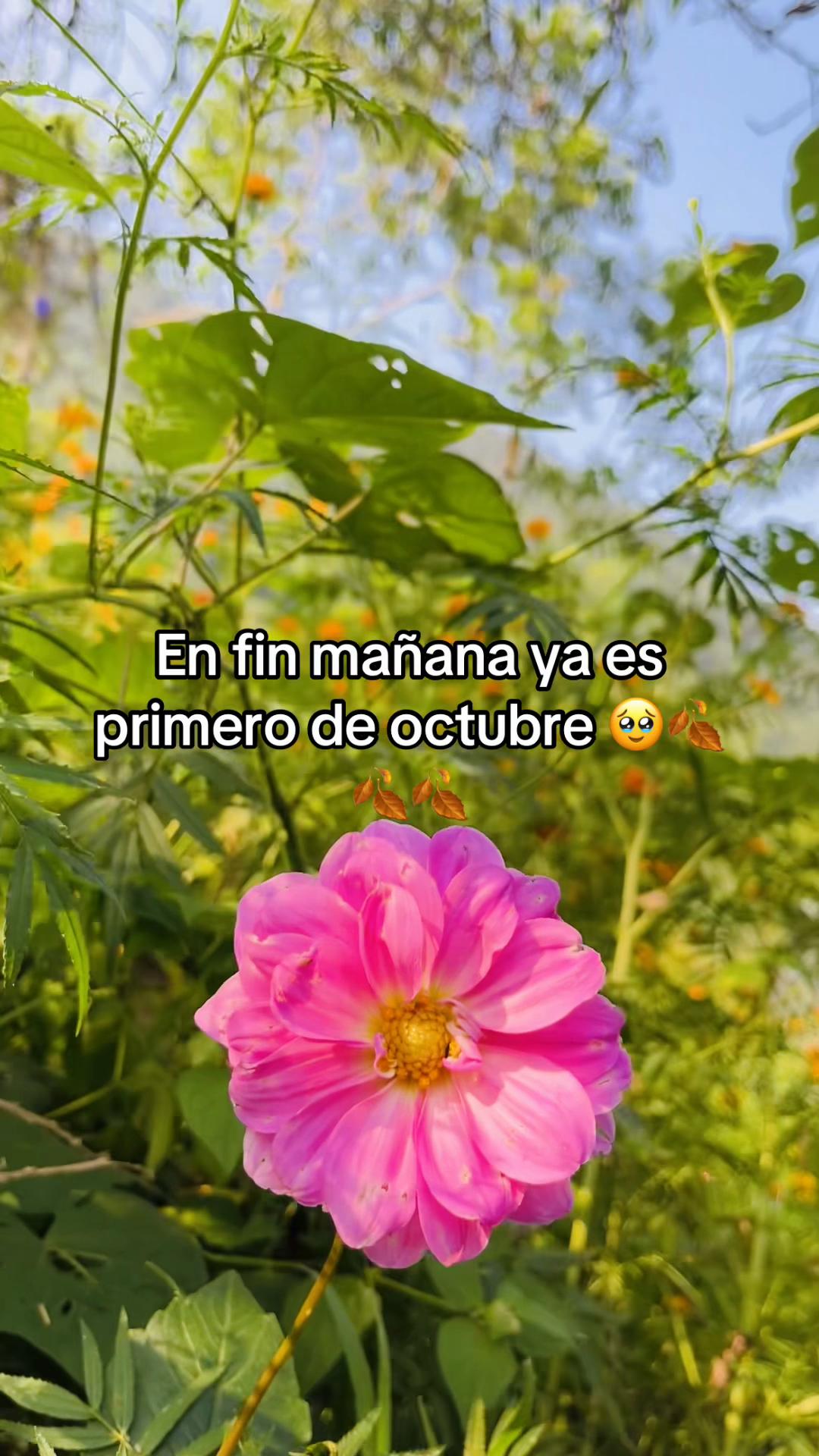 @Esme Munoz Mtz 🦋✨