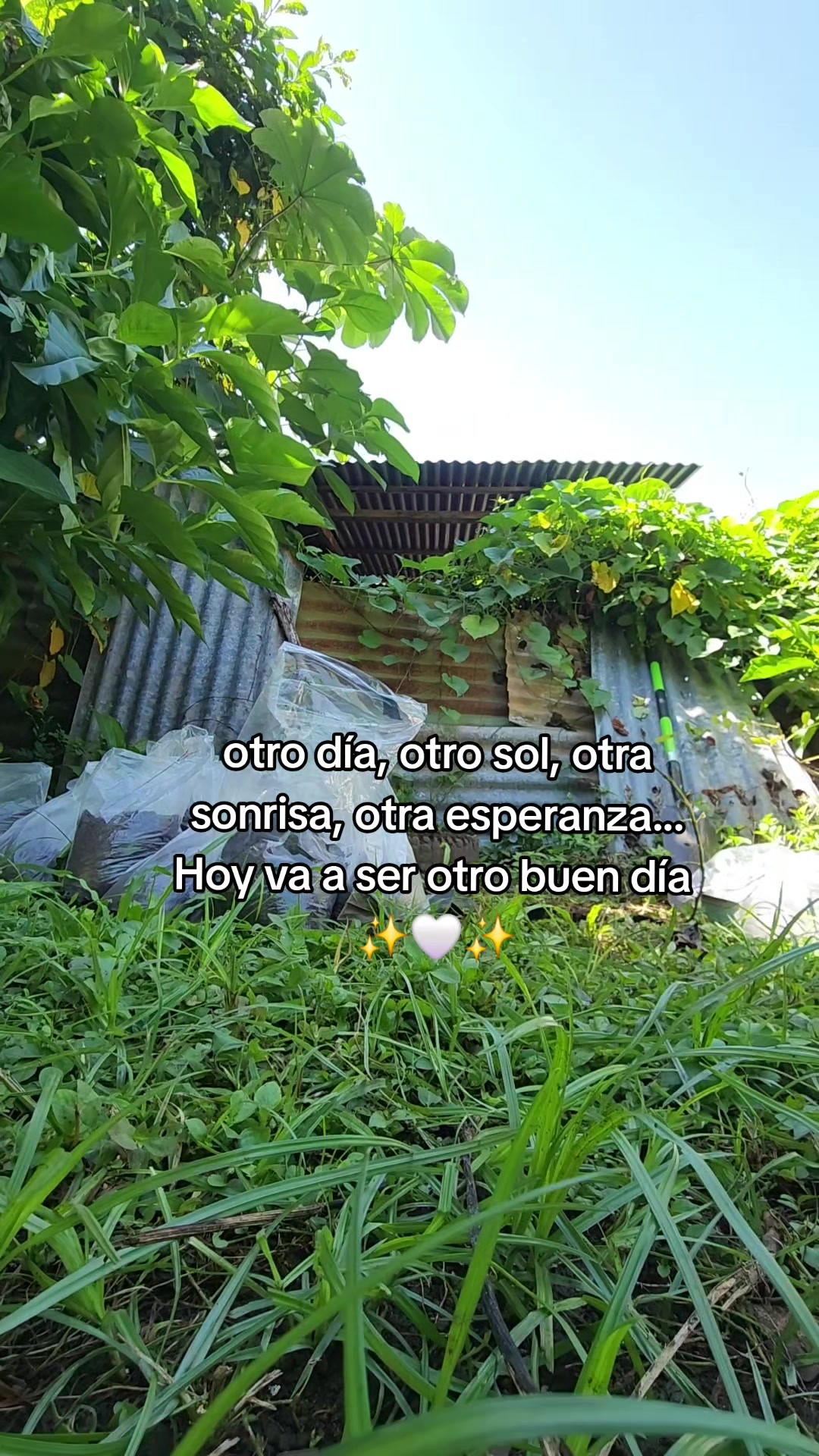 @Rasta Tours CR
