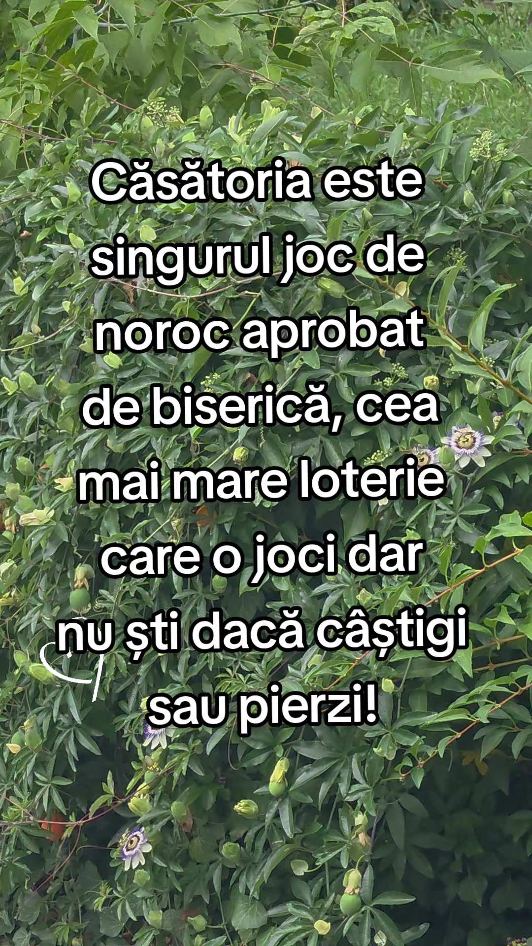 @Doar eu. Y M