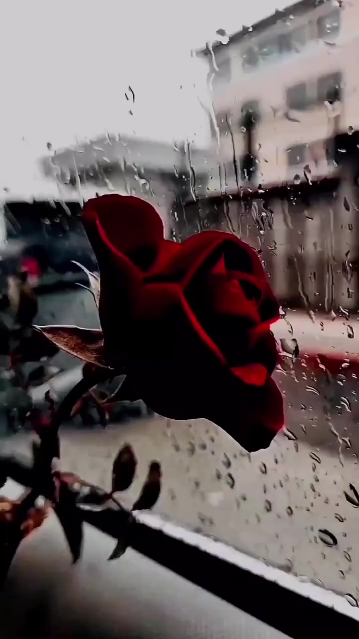 @Atiye şafak Emir🌟💞