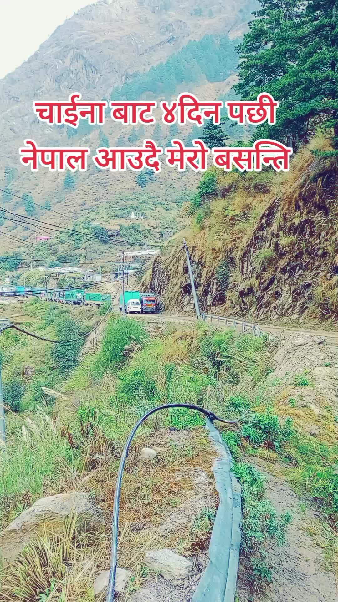 @Jeevan Shrestha7240
