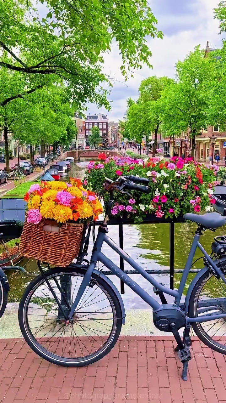 @Hanhanhar