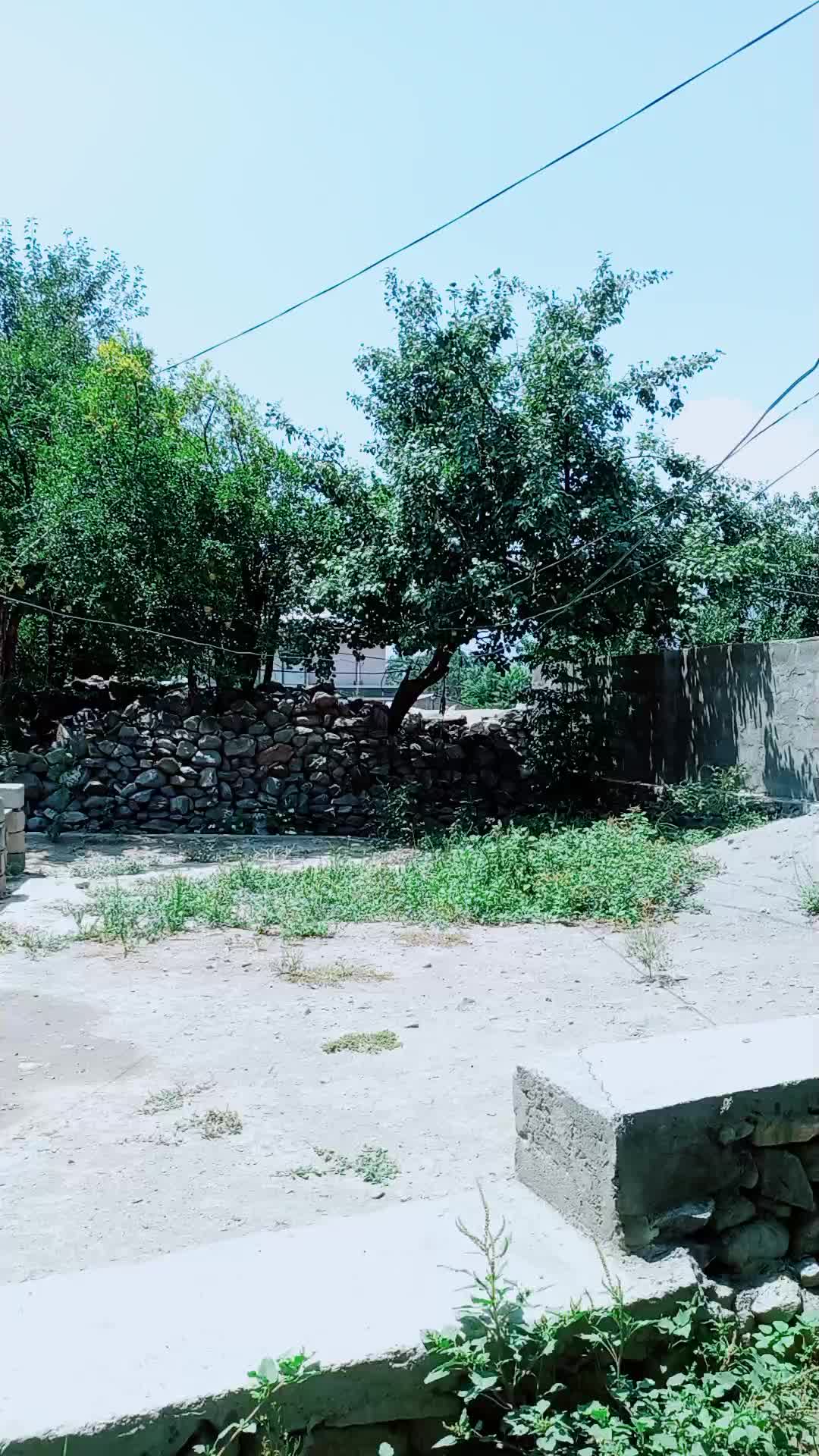 @Waqaskhan14