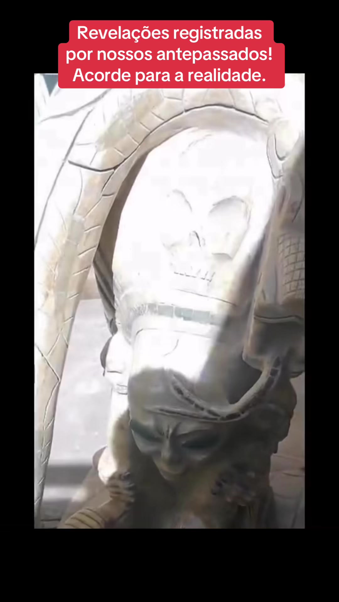 @Universo Alien&iacute;gena