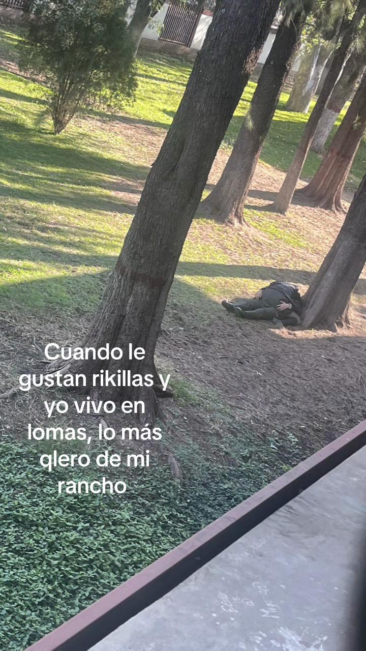@Itzy araña 🕷️