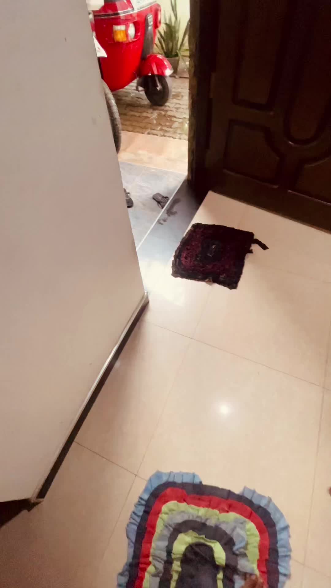 @M 🦅🖤