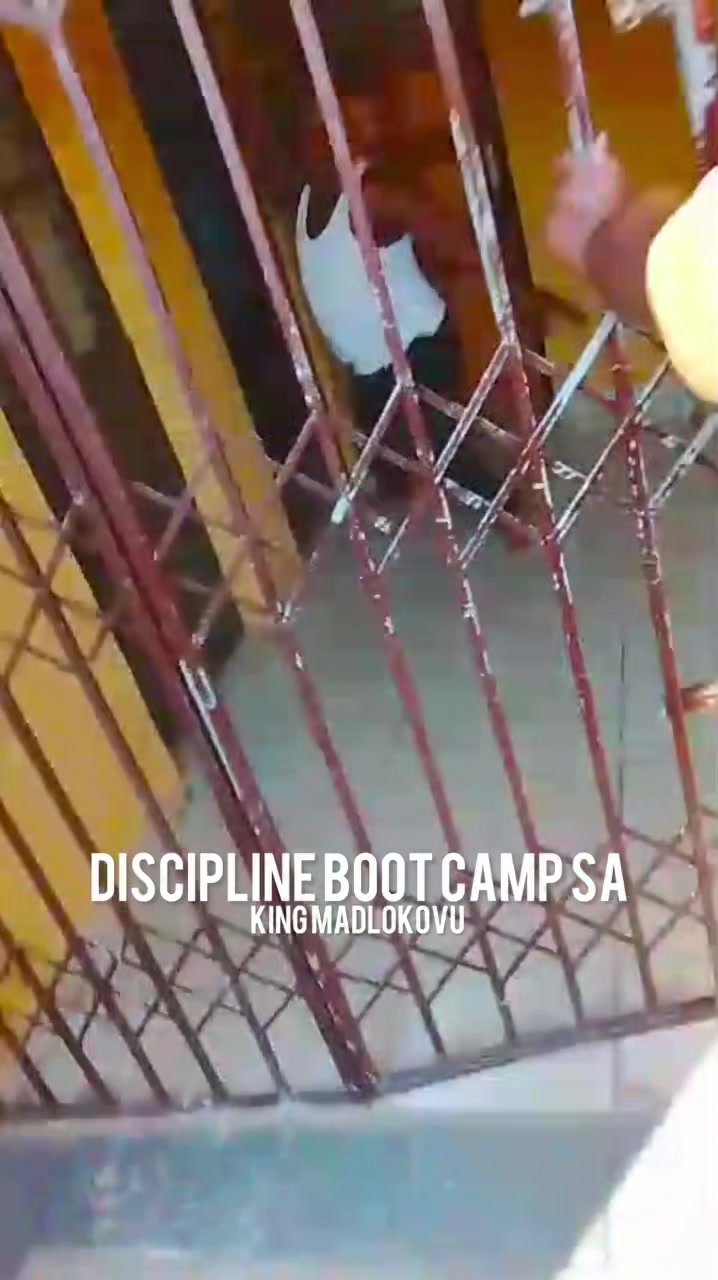 @Discipline Bootcamp SA