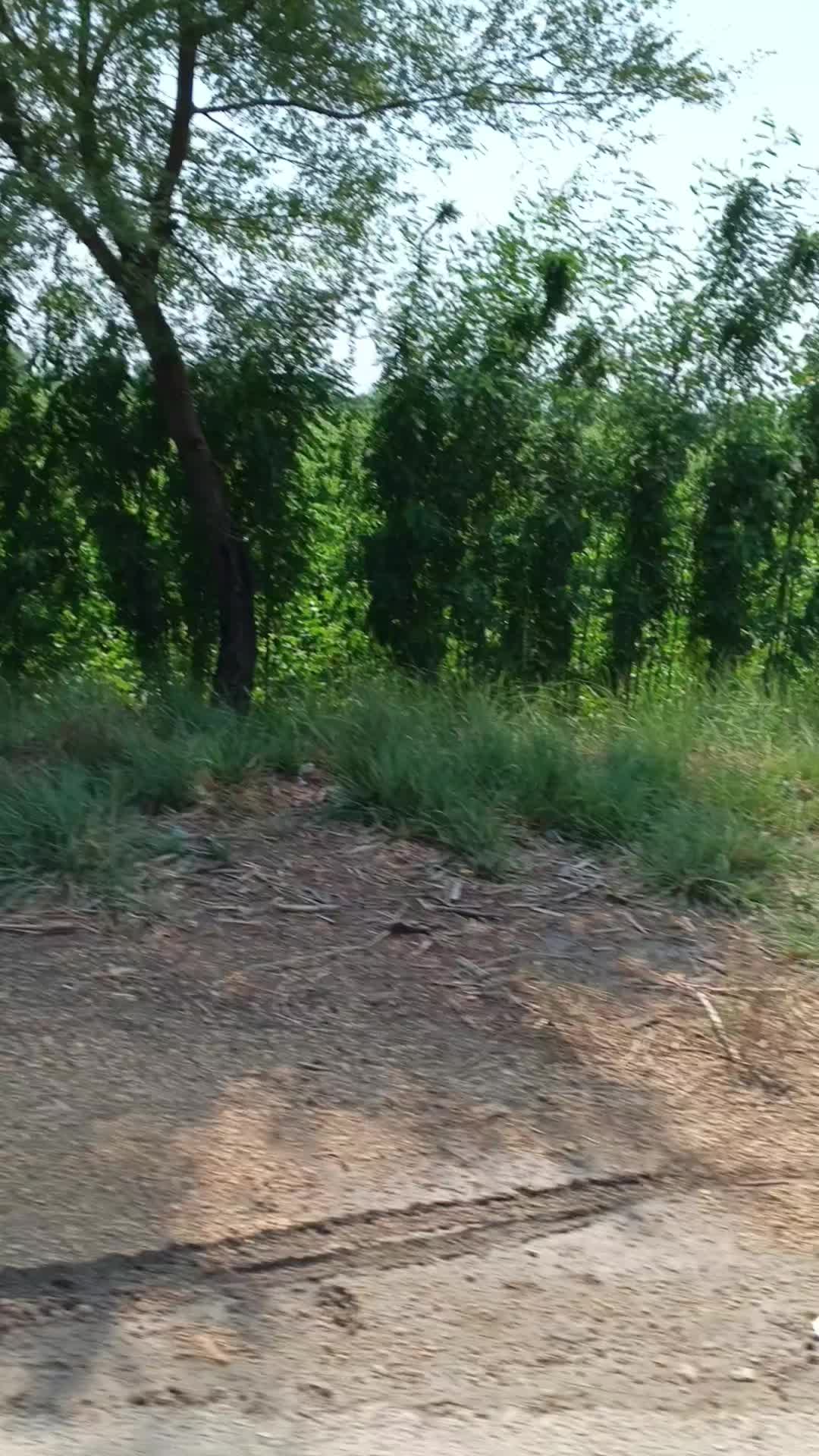 @Mukesh kumar kolhi
