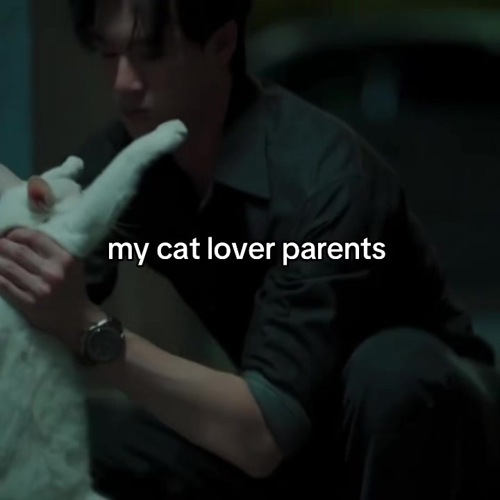 @chiwen .ᐟ