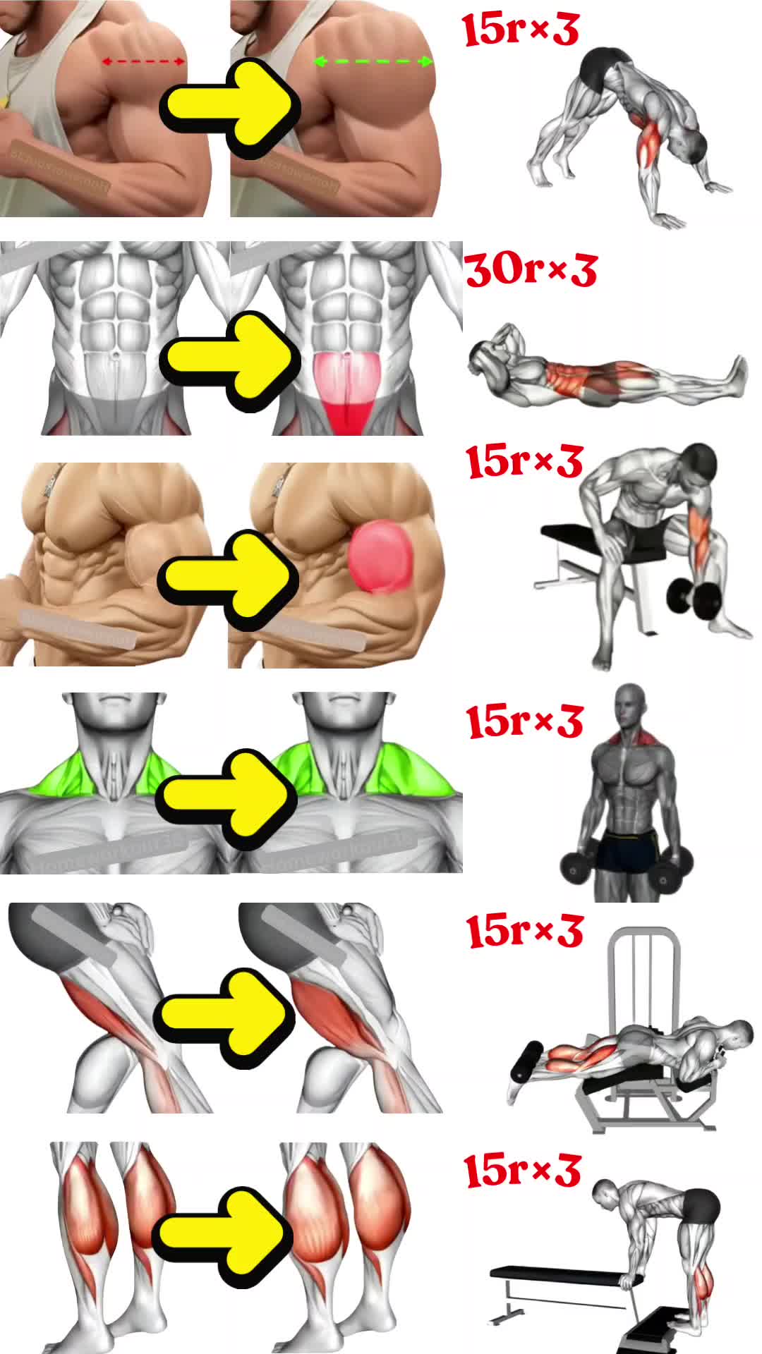 @HOMEWORKOUT
