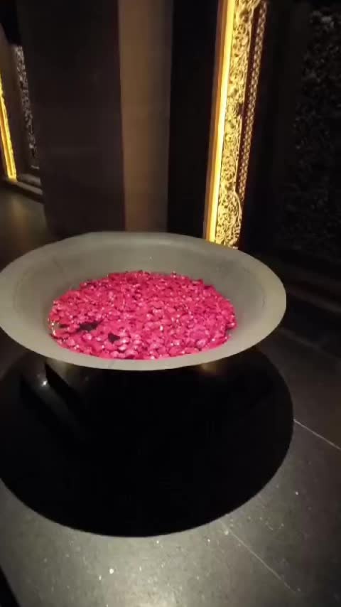 @funnypoppy20