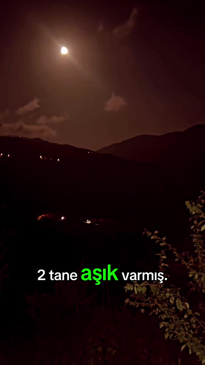 @mavili781