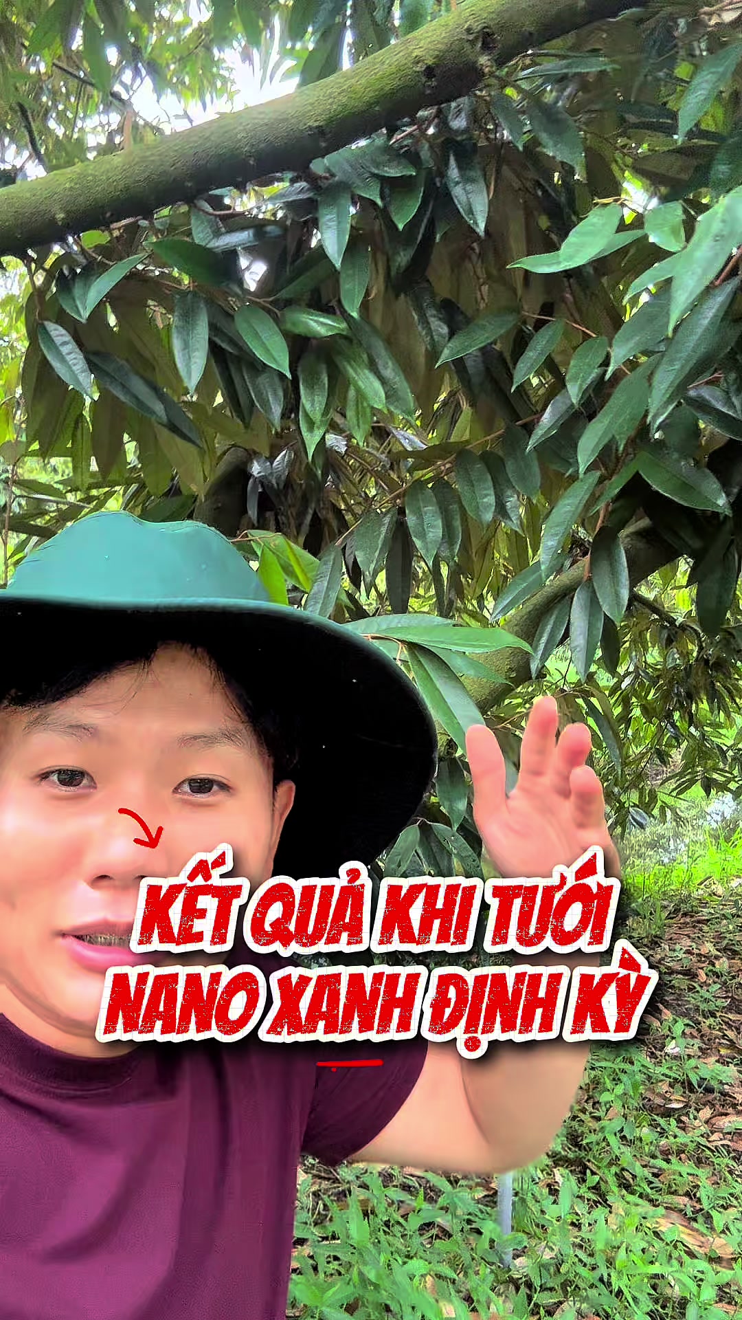 @Hộ Kinh Doanh Hào - Hưng