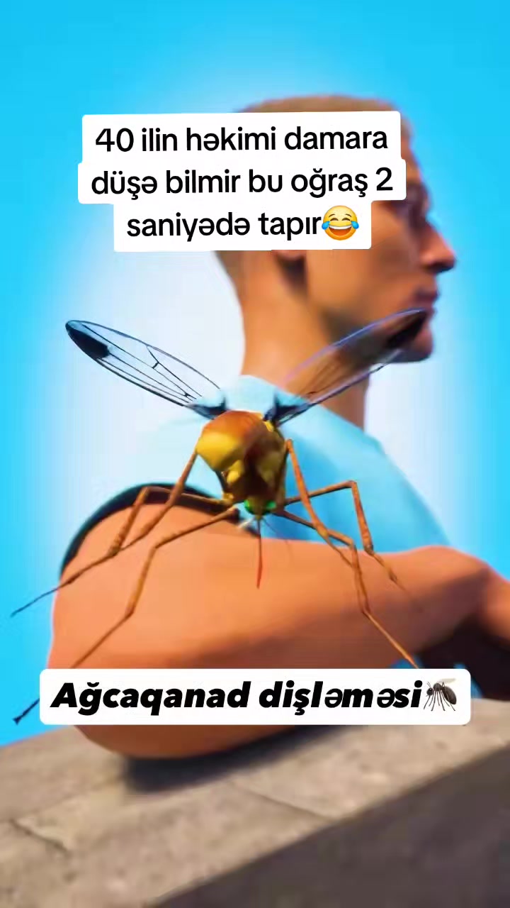 @Avtomobil_aksesuarlar