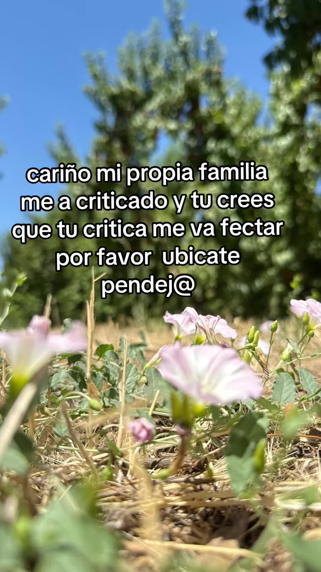 @🍒𝔽𝕝𝕠𝕣🍒🦋𝔸𝕣𝕖𝕝𝕚🦋