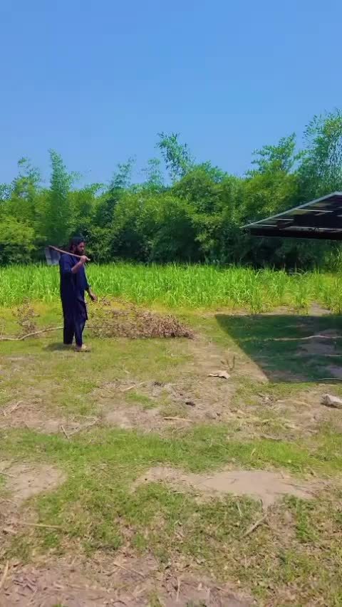 @جانی چٹھہ ــ کوٹلے ــ آلہ143✨✨