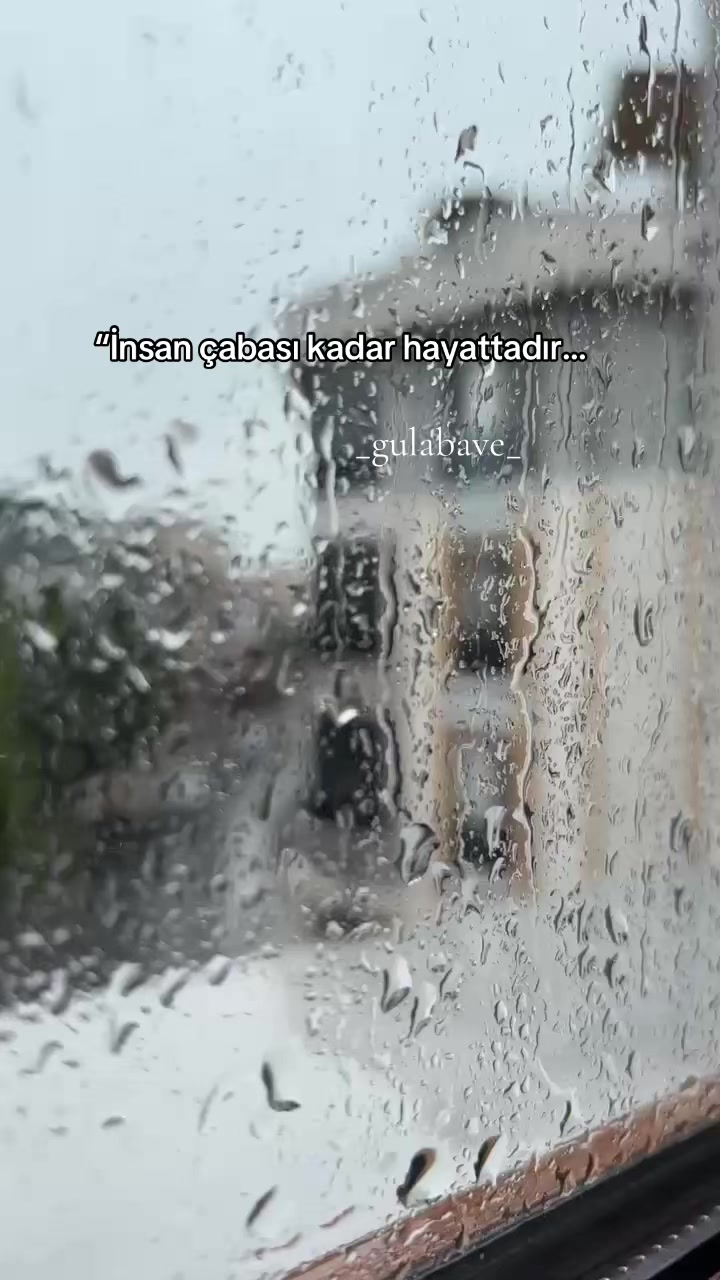 @gulabavi