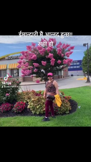 @userbaralpaudel